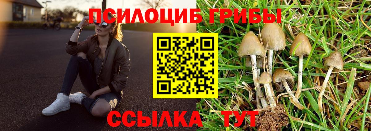 Галлюциногенные грибы MAGIC MUSHROOMS Егорьевск