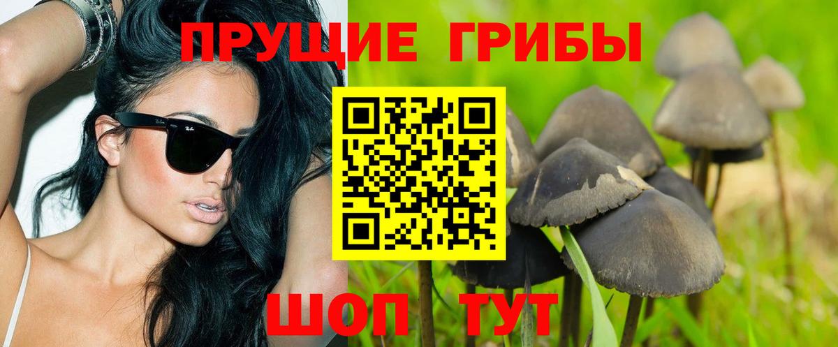 Псилоцибиновые грибы Magic Shrooms  наркотики  Егорьевск  Вход с VPN 